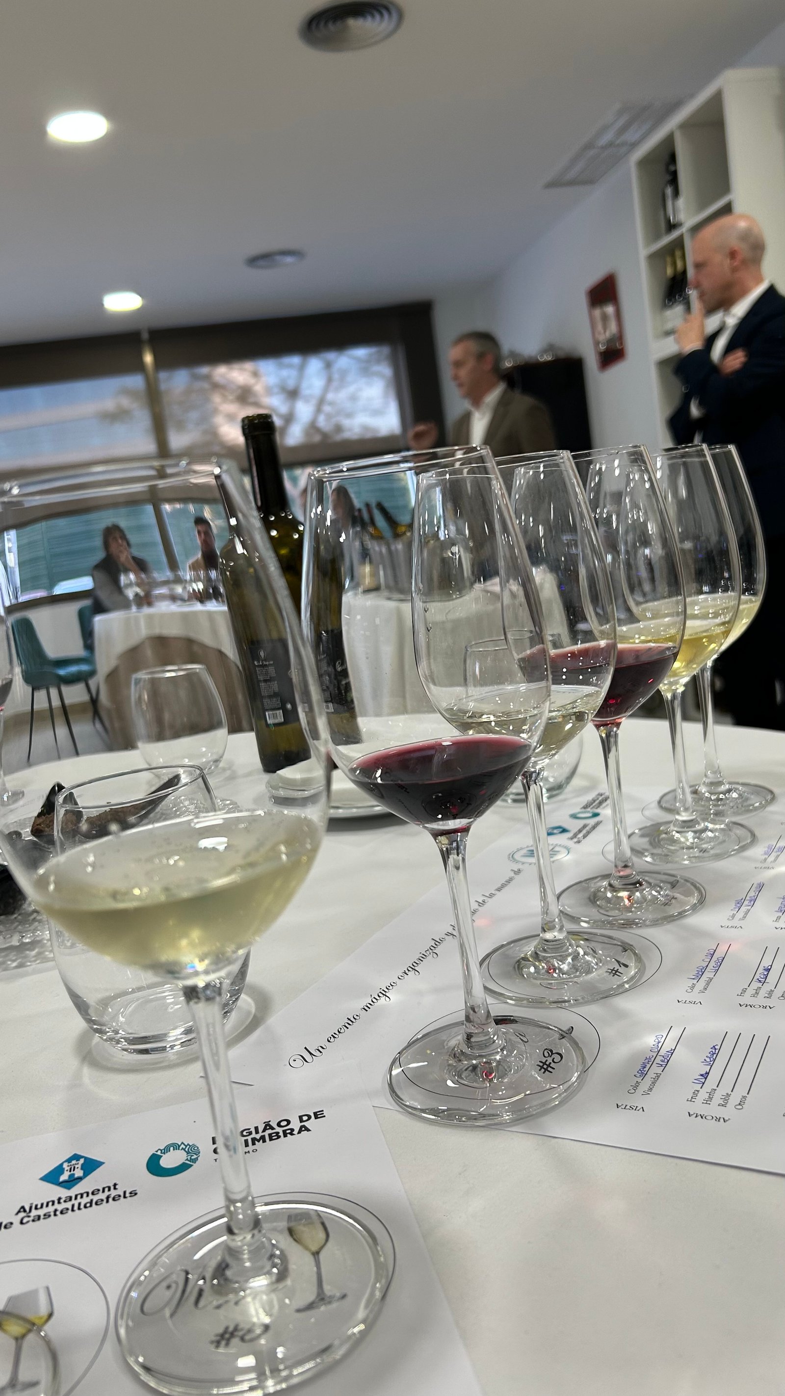Foto Vinos y Sumillería